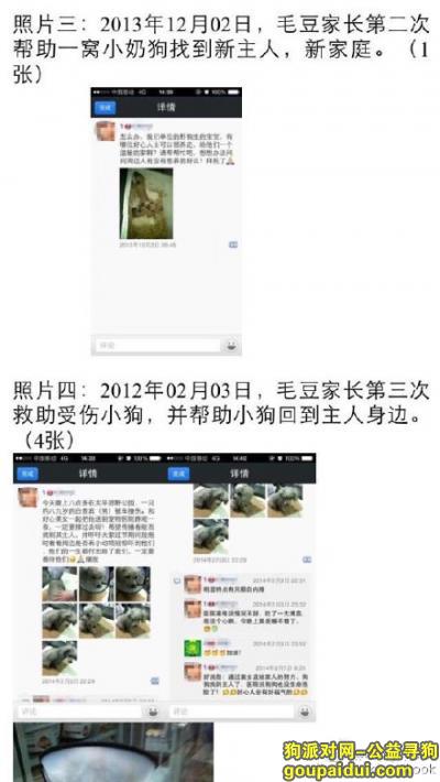 北京寻狗启示，昌平霍营邮政银行外丢失泰迪脖挂绿色铃铛项圈，它是一只非常可爱的宠物狗狗，希望它早日回家，不要变成流浪狗。