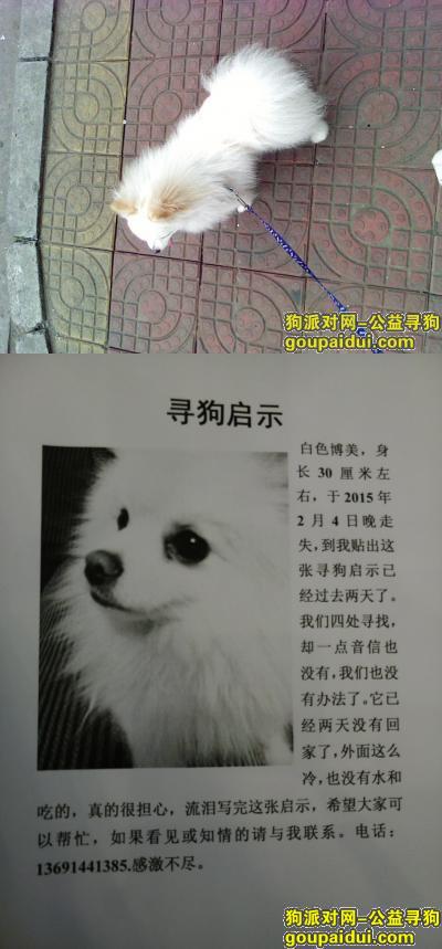 【北京找狗】，寻狗启示，北京市顺义区石园北区走失白色博美，它是一只非常可爱的宠物狗狗，希望它早日回家，不要变成流浪狗。