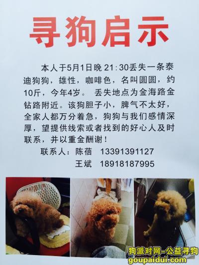 【上海找狗】，2015/5/1晚上9:15跑丢，它是一只非常可爱的宠物狗狗，希望它早日回家，不要变成流浪狗。