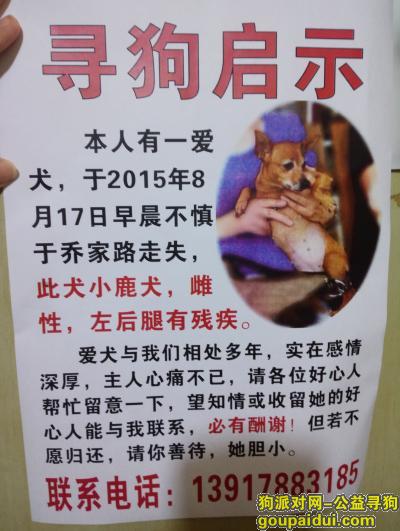 【上海找狗】，寻狗~急！！！犬小鹿犬，雌性，左后腿有残疾~~，它是一只非常可爱的宠物狗狗，希望它早日回家，不要变成流浪狗。
