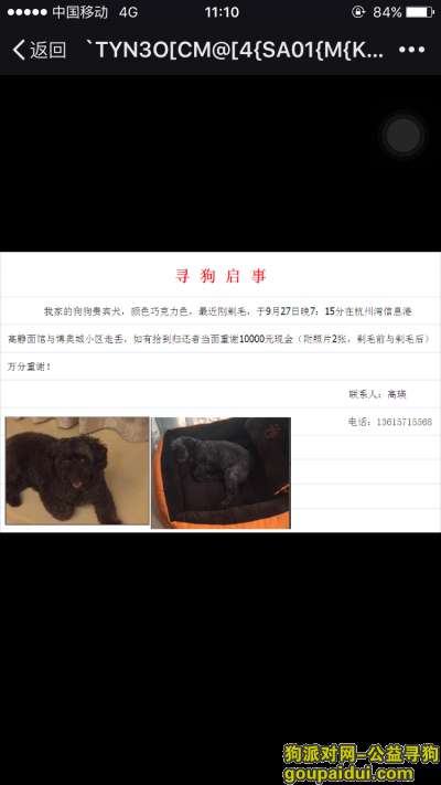 【杭州找狗】，我家狗狗在萧山博奥城附近走失，好心人如果看到联系我，万分感谢你们，它是一只非常可爱的宠物狗狗，希望它早日回家，不要变成流浪狗。
