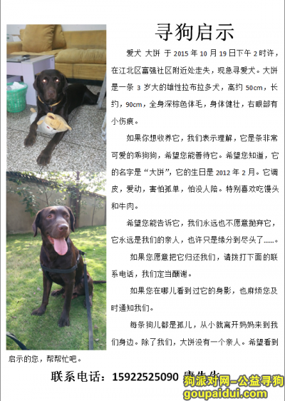 重庆找狗，寻狗启示 重庆江北区富强社区 当面酬谢！，它是一只非常可爱的宠物狗狗，希望它早日回家，不要变成流浪狗。