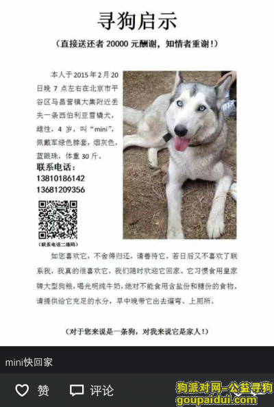【北京找狗】，寻狗启示它是我的家人，它是一只非常可爱的宠物狗狗，希望它早日回家，不要变成流浪狗。