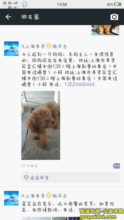 【上海捡到狗】，帮助宝贝回家，谢谢大家，它是一只非常可爱的宠物狗狗，希望它早日回家，不要变成流浪狗。