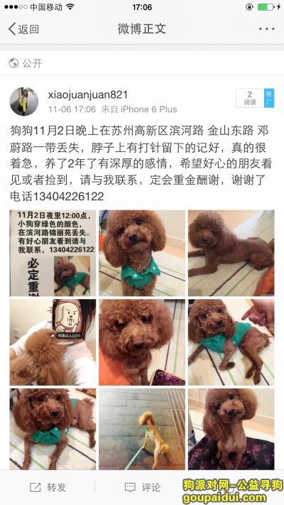 【苏州找狗】，苏州高新区滨河路狗狗丢失，它是一只非常可爱的宠物狗狗，希望它早日回家，不要变成流浪狗。