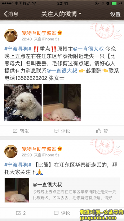 寻狗，宁波江东找狗 比熊  毛短  母，它是一只非常可爱的宠物狗狗，希望它早日回家，不要变成流浪狗。