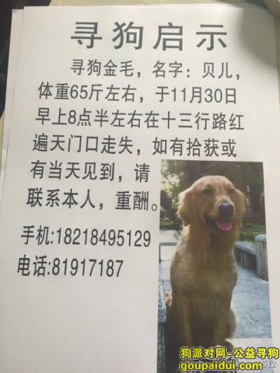 广州紧急寻狗，谢谢大家了，它是一只非常可爱的宠物狗狗，希望它早日回家，不要变成流浪狗。