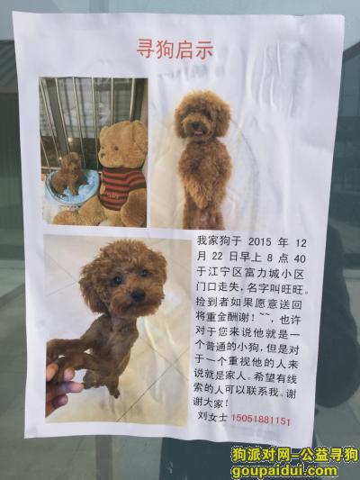 南京找狗，南京白下高新园区富力城一期小区丢1岁泰迪，它是一只非常可爱的宠物狗狗，希望它早日回家，不要变成流浪狗。