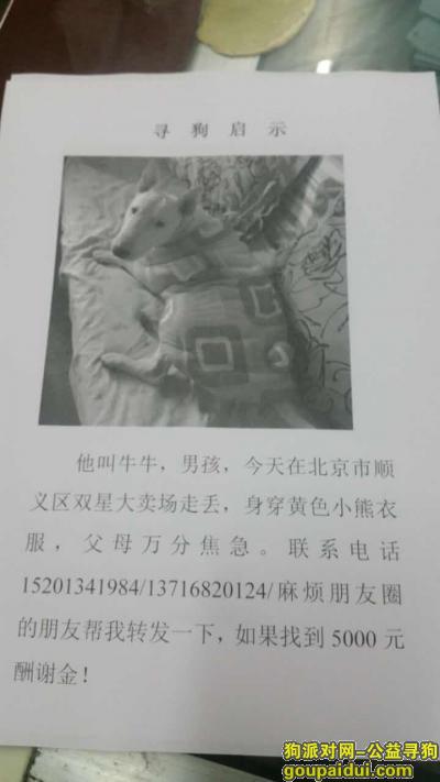 【北京找狗】，2016年1月15日丢失，它是一只非常可爱的宠物狗狗，希望它早日回家，不要变成流浪狗。