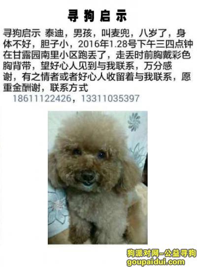 找狗，北京甘露园南里小区寻狗，它是一只非常可爱的宠物狗狗，希望它早日回家，不要变成流浪狗。