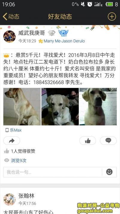 牡丹江寻狗启示，老师寻爱犬，求同学转发，它是一只非常可爱的宠物狗狗，希望它早日回家，不要变成流浪狗。