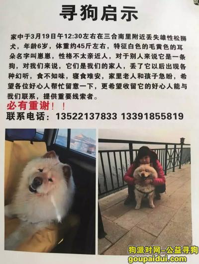 【北京找狗】，北京市大兴区寻狗。。。。。。，它是一只非常可爱的宠物狗狗，希望它早日回家，不要变成流浪狗。