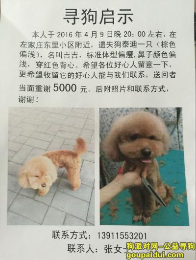 【北京找狗】，北京左家庄寻找爱犬，心急如焚，它是一只非常可爱的宠物狗狗，希望它早日回家，不要变成流浪狗。