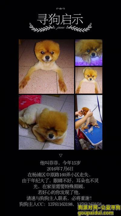 寻找15岁的博美（已剃毛，2016.7.6上海杨浦区中原市光一村附近走失），它是一只非常可爱的宠物狗狗，希望它早日回家，不要变成流浪狗。