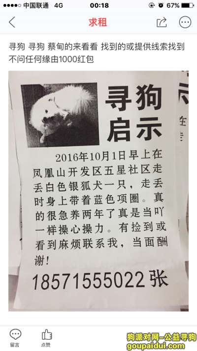 武汉蔡甸去寻狗2016十月一号走丢，找到一千人民币，它是一只非常可爱的宠物狗狗，希望它早日回家，不要变成流浪狗。