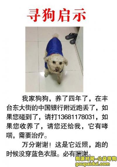【北京找狗】，寻狗启示，希望能找到它。，它是一只非常可爱的宠物狗狗，希望它早日回家，不要变成流浪狗。