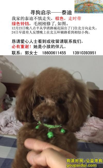 【北京找狗】，寻狗启示——北五环至学清路一带，它是一只非常可爱的宠物狗狗，希望它早日回家，不要变成流浪狗。