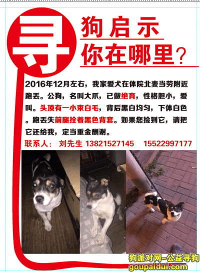 【天津找狗】，天津的朋友请帮忙 很着急，它是一只非常可爱的宠物狗狗，希望它早日回家，不要变成流浪狗。