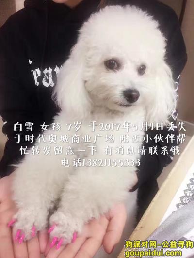 【天津找狗】，天津时代奥城商业广场丢失白色比熊 女孩，它是一只非常可爱的宠物狗狗，希望它早日回家，不要变成流浪狗。