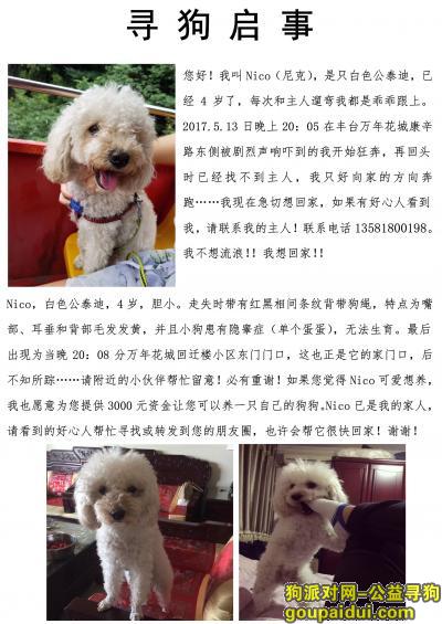 【北京找狗】，ok，它是一只非常可爱的宠物狗狗，希望它早日回家，不要变成流浪狗。