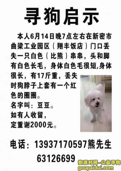 【郑州找狗】，家中小狗走失，求好心人帮忙，重谢，它是一只非常可爱的宠物狗狗，希望它早日回家，不要变成流浪狗。
