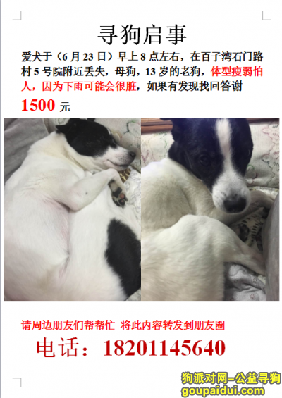 【北京找狗】，百子湾附近丢失小串狗，它是一只非常可爱的宠物狗狗，希望它早日回家，不要变成流浪狗。