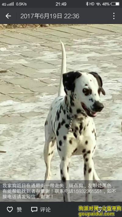 寻找自家丢失的斑点狗。，它是一只非常可爱的宠物狗狗，希望它早日回家，不要变成流浪狗。