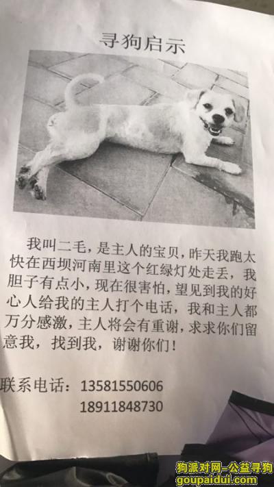 寻找北京丢失的狗狗二毛，它是一只非常可爱的宠物狗狗，希望它早日回家，不要变成流浪狗。