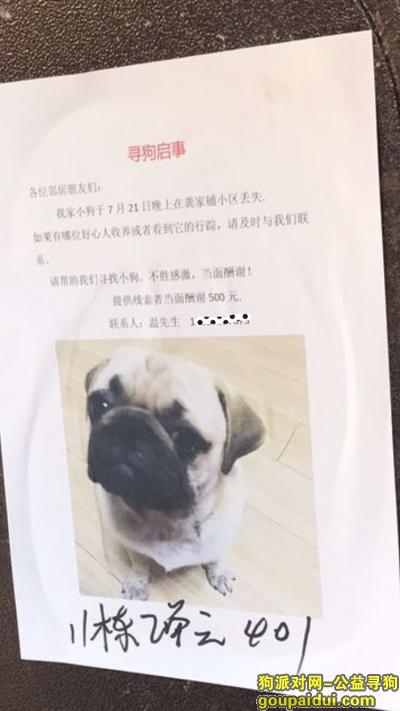 【武汉找狗】，武汉江夏 龚家铺小区 遗失八哥一只，它是一只非常可爱的宠物狗狗，希望它早日回家，不要变成流浪狗。
