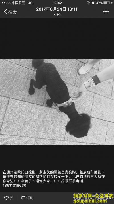 【北京捡到狗】，已被领养 此贴作废，它是一只非常可爱的宠物狗狗，希望它早日回家，不要变成流浪狗。
