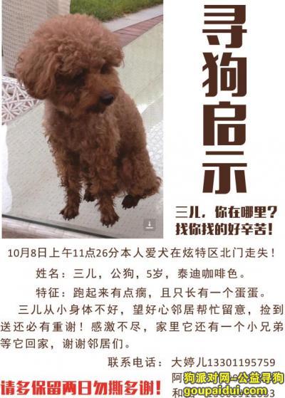 【北京找狗】，北京朝阳区石佛营东里炫特区北门寻找咖啡色泰迪，它是一只非常可爱的宠物狗狗，希望它早日回家，不要变成流浪狗。