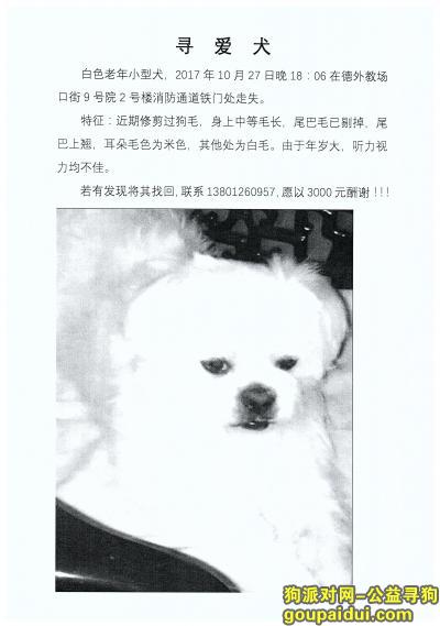 【北京找狗】，寻爱犬，北京西城德外教场口街走失，它是一只非常可爱的宠物狗狗，希望它早日回家，不要变成流浪狗。