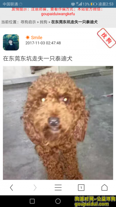 在东莞东坑镇角社角祥路被抱走的棕红色泰迪犬公的，它是一只非常可爱的宠物狗狗，希望它早日回家，不要变成流浪狗。