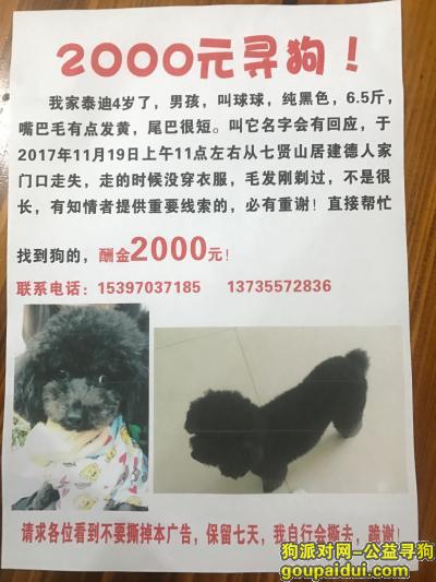 【杭州找狗】，2000元寻找我的球球，它是一只非常可爱的宠物狗狗，希望它早日回家，不要变成流浪狗。