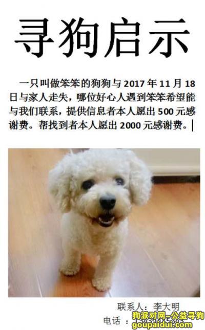 笨笨在北京通州加州小镇附近走失，它是一只非常可爱的宠物狗狗，希望它早日回家，不要变成流浪狗。