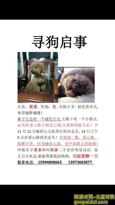 【深圳找狗】，深圳寻找走失7岁爱犬果果，它是一只非常可爱的宠物狗狗，希望它早日回家，不要变成流浪狗。