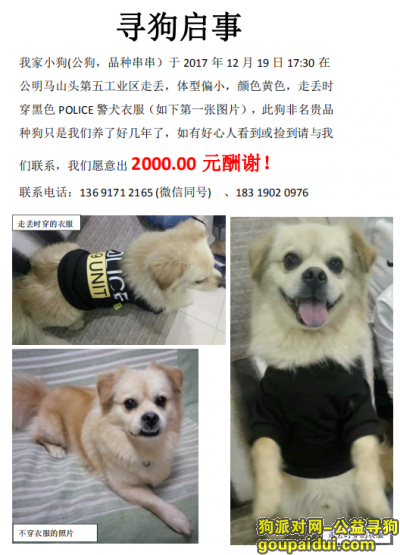 【深圳找狗】，2000元酬金公明寻狗，它是一只非常可爱的宠物狗狗，希望它早日回家，不要变成流浪狗。