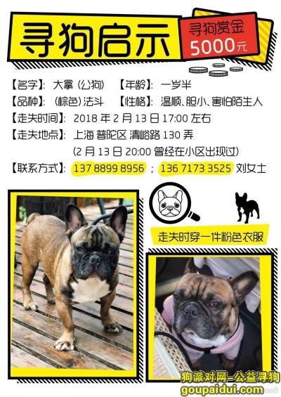 上海普陀区清峪路130弄走丢，酬谢五千元寻找法斗，它是一只非常可爱的宠物狗狗，希望它早日回家，不要变成流浪狗。