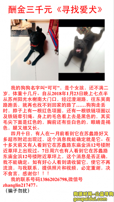 苏州找狗，重赏三千元《寻找爱犬》，它是一只非常可爱的宠物狗狗，希望它早日回家，不要变成流浪狗。