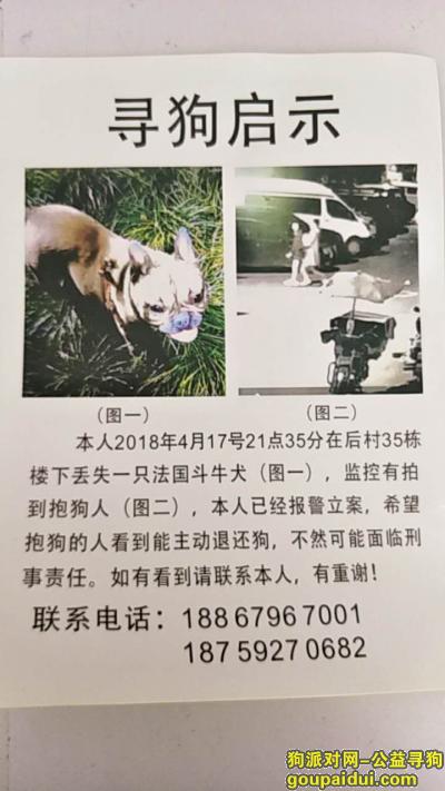 狗被偷走了，图上的2个人 义乌市青口后村27栋，它是一只非常可爱的宠物狗狗，希望它早日回家，不要变成流浪狗。