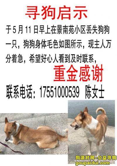 【无锡找狗】，无锡市新吴区景南苑小区寻找爱犬，它是一只非常可爱的宠物狗狗，希望它早日回家，不要变成流浪狗。