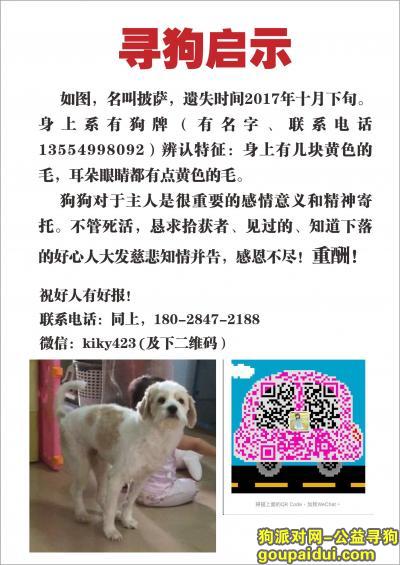 寻犬启示：遗失于广东省博罗县长贵村。，它是一只非常可爱的宠物狗狗，希望它早日回家，不要变成流浪狗。