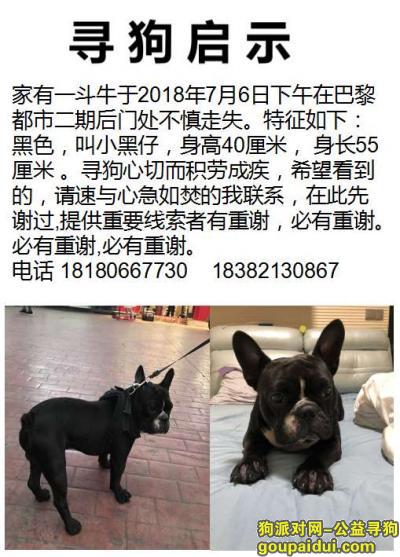 【成都找狗】，成都市航空港走失黑色法斗，它是一只非常可爱的宠物狗狗，希望它早日回家，不要变成流浪狗。
