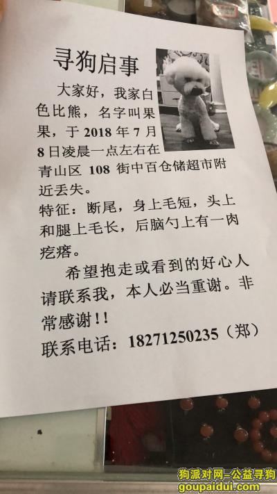 【武汉找狗】，丢失于武汉市青山区108街中百仓储超市附近，它是一只非常可爱的宠物狗狗，希望它早日回家，不要变成流浪狗。