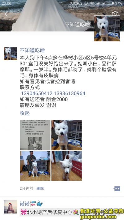 哈尔滨寻狗启示，小白于29日下午4点多走失。，它是一只非常可爱的宠物狗狗，希望它早日回家，不要变成流浪狗。