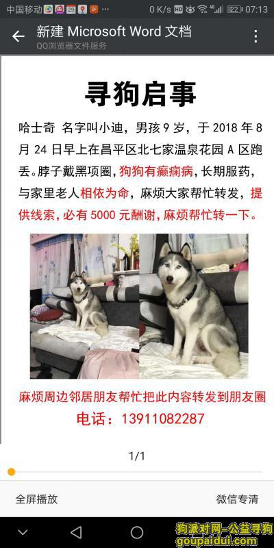 【北京找狗】，北京昌平重金寻找9岁公狗哈士奇，它是一只非常可爱的宠物狗狗，希望它早日回家，不要变成流浪狗。