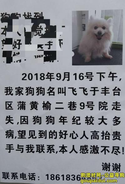 【北京找狗】，北京蒲黄榆二巷九号院找狗，它是一只非常可爱的宠物狗狗，希望它早日回家，不要变成流浪狗。
