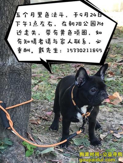 北京朝阳公园四季阳光餐厅酬谢五千元寻找黑色法斗，它是一只非常可爱的宠物狗狗，希望它早日回家，不要变成流浪狗。