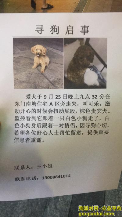 深圳寻狗，深圳罗湖东门老街寻狗，它是一只非常可爱的宠物狗狗，希望它早日回家，不要变成流浪狗。