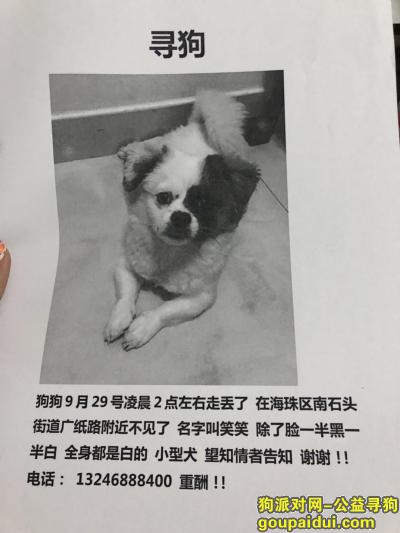 【广州找狗】，广州海珠区走丢一只黑白串串，它是一只非常可爱的宠物狗狗，希望它早日回家，不要变成流浪狗。